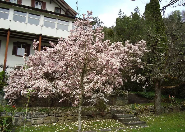 Hotel Beatus